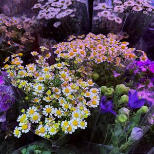 i know you've gotta leave