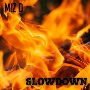 SLOWDOWN