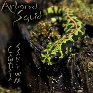 Emergence (feat. Fotgjengeren)