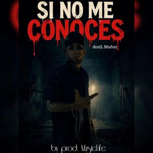 Si No Me Conoces