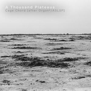 Cage Chord (after Organ²/ASLSP)