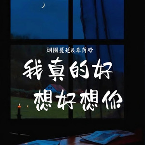 我真的好想好想你 (对唱版)