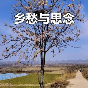 游子心