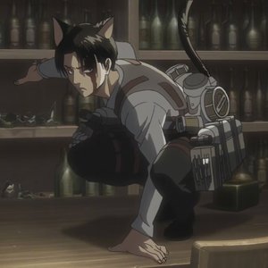 Call of Slience(猫猫版)