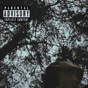 信号（Prod.Inuyasha)