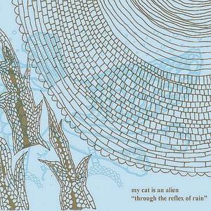 Through The Reflex Of The Rain