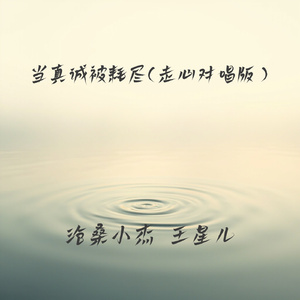 当真诚被耗尽(走心对唱版)