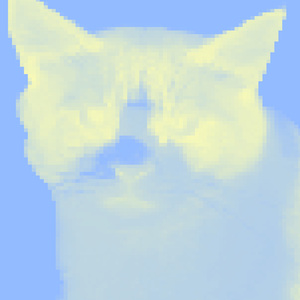 taro