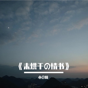 《未烘干の情书》