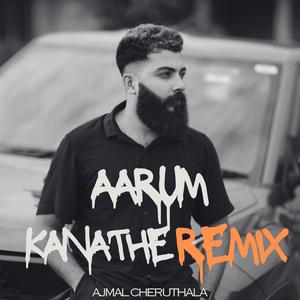 aarum kanathe df mix