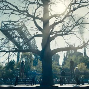 I Fed The Hanging Tree