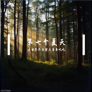 第七个夏天