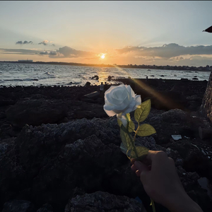 如愿（prod MORROW）