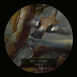 Cuervos (Original Mix)