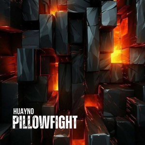 Pillowfight