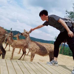 你缺席的那些年