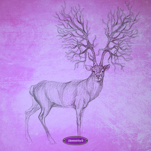 Unconditional Statement