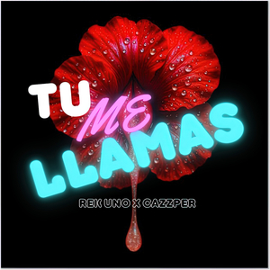 Tu Me Llamas