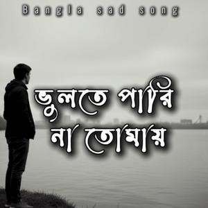 ভুলতে পারি না তোমায়
