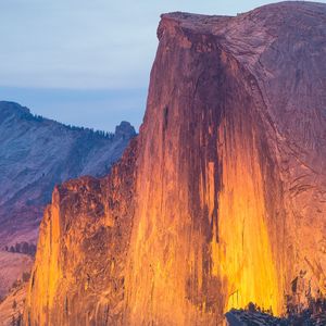 为什么要来骗我