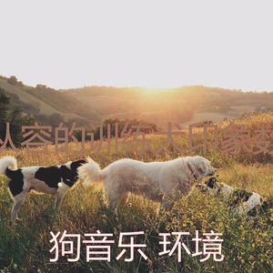 微妙的小狗心情