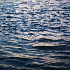 没有你的地方是寂寞