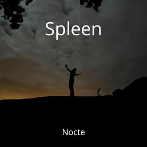 Spleen