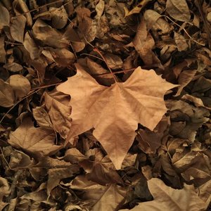 别问我值不值得