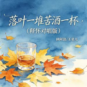 落叶一堆苦酒一杯（释怀对唱版）