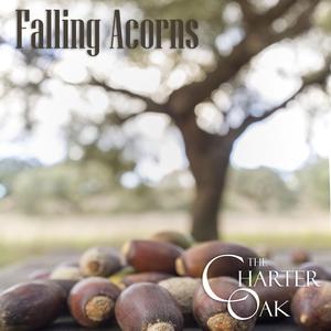 Falling Acorns