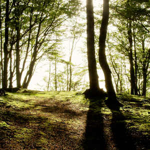 一年一年风霜遮盖了笑颜