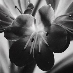 I've Been Thinking About You Lately