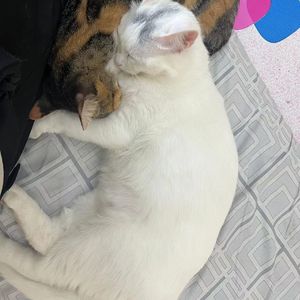 955555555555555555555555