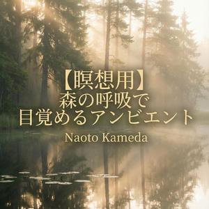 森の奥で呼吸するシンフォニックサウンド