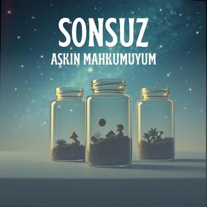 Sonsuz Aşkın Mahkumuyum (feat. Hayri Ensar Abbas)