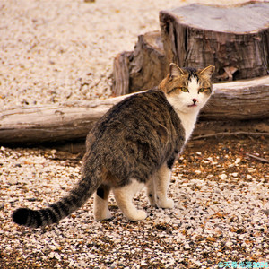 振り返ればいつも