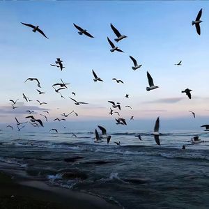 允许自己慢下来