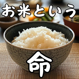 お米という命