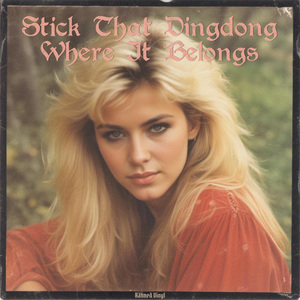 Stick That Dingdong Where It Belongs