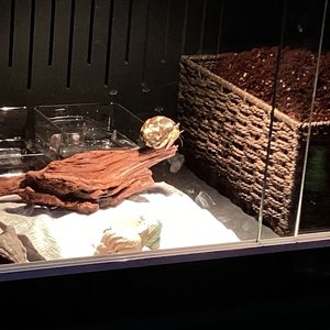 你一个暗示我排练几遍心事