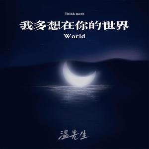 我多想在你的世界