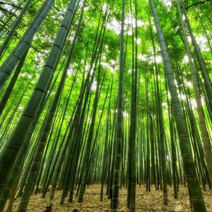 Sleep Sound Brown Noise for Baby – Looped