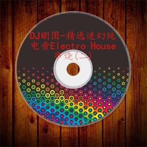 精选迷幻纯电音Electro House串烧(二)