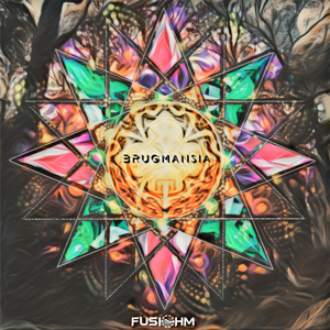 The Last Level Of Reiatsu