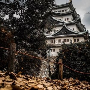 广岛记忆（Hiroshima）