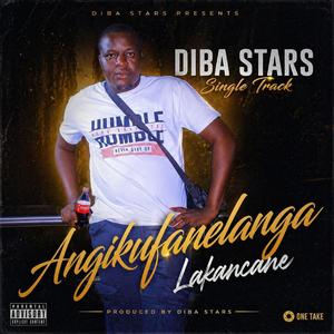 Angikufanelanga Lakancane