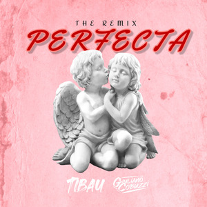 Perfecta 2023 (Remix)