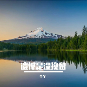 遗憾是没挽留