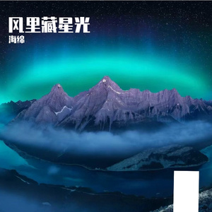 风里藏星光