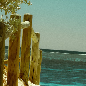 Illuminated Nerual Discoveries